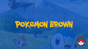 Pokemon Brown